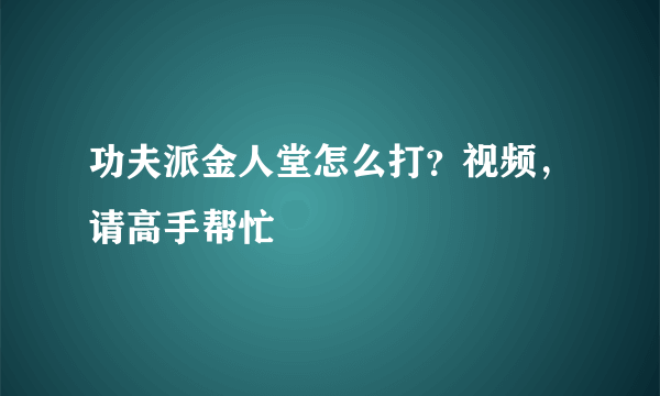 功夫派金人堂怎么打？视频，请高手帮忙