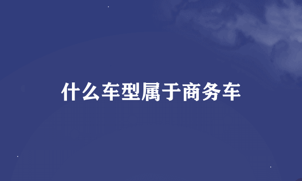 什么车型属于商务车