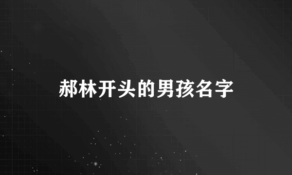 郝林开头的男孩名字