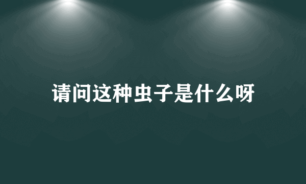 请问这种虫子是什么呀