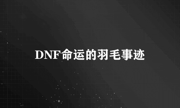 DNF命运的羽毛事迹