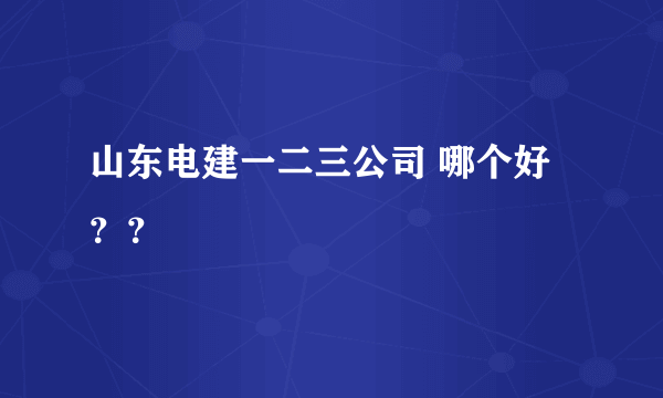 山东电建一二三公司 哪个好？？