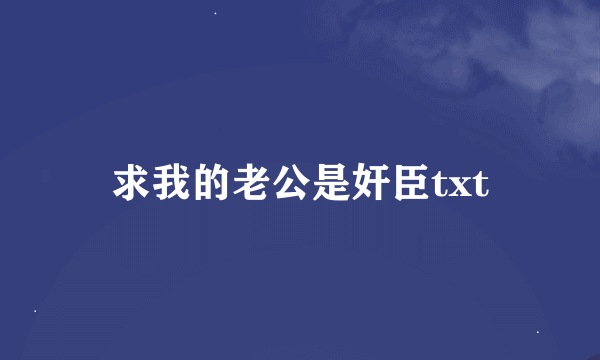 求我的老公是奸臣txt