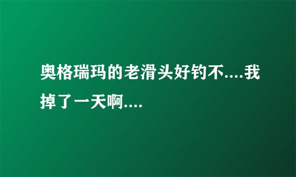 奥格瑞玛的老滑头好钓不....我掉了一天啊....