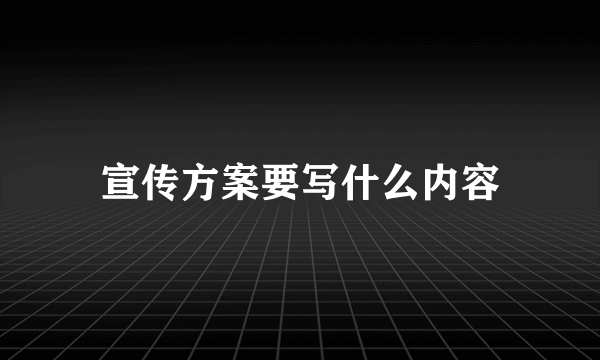 宣传方案要写什么内容