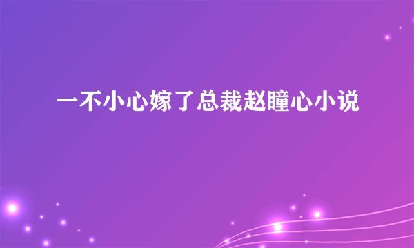 一不小心嫁了总裁赵瞳心小说