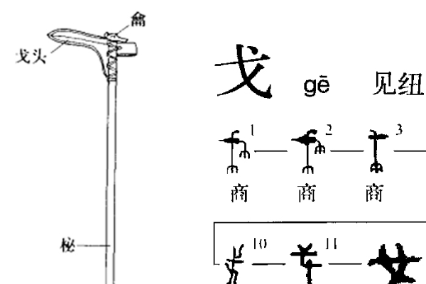 戈怎么读