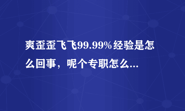 爽歪歪飞飞99.99%经验是怎么回事，呢个专职怎么做！！！高手求教！