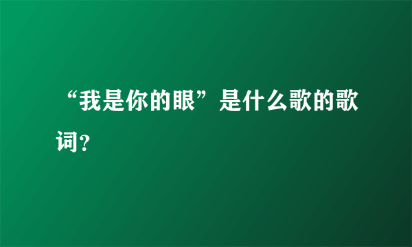 “我是你的眼”是什么歌的歌词？