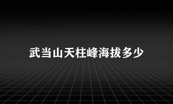 武当山天柱峰海拔多少