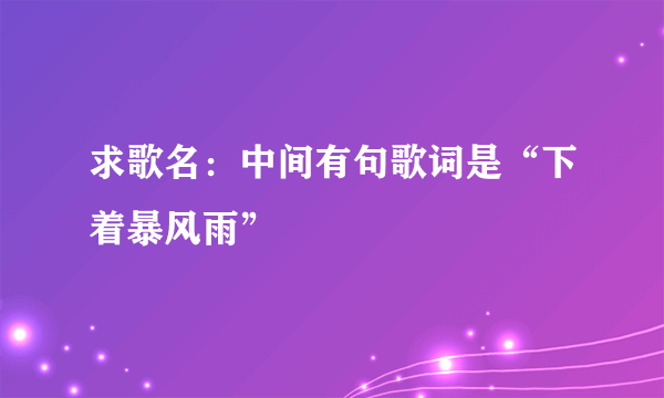 求歌名：中间有句歌词是“下着暴风雨”