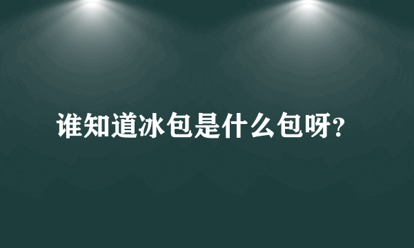 谁知道冰包是什么包呀？