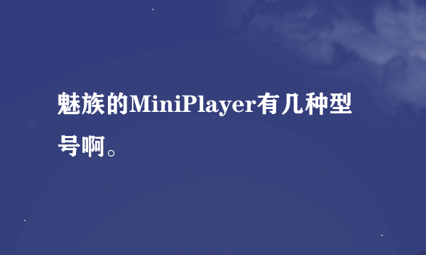 魅族的MiniPlayer有几种型号啊。