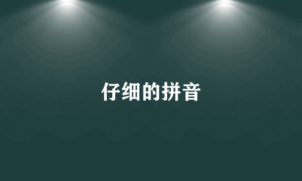 仔细的拼音