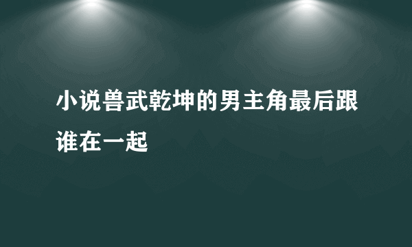 小说兽武乾坤的男主角最后跟谁在一起