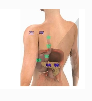 体内抽出牛奶血是怎么回事？