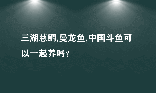 三湖慈鲷,曼龙鱼,中国斗鱼可以一起养吗？