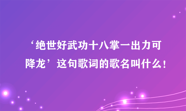 ‘绝世好武功十八掌一出力可降龙’这句歌词的歌名叫什么！