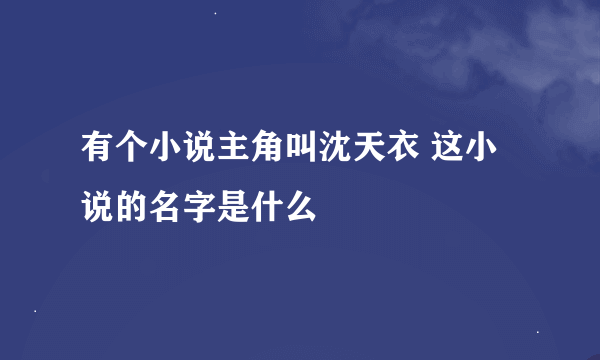 有个小说主角叫沈天衣 这小说的名字是什么