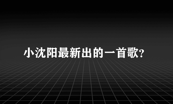 小沈阳最新出的一首歌？