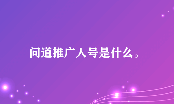 问道推广人号是什么。