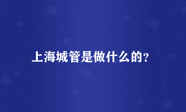 上海城管是做什么的？