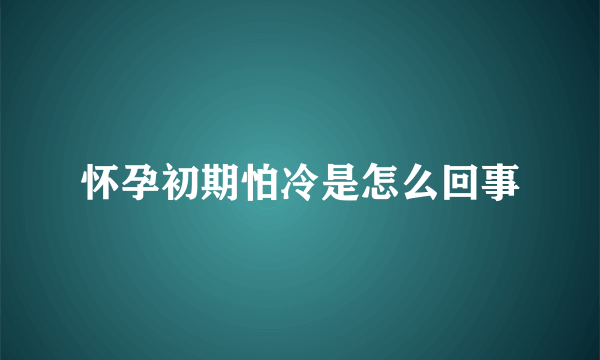 怀孕初期怕冷是怎么回事