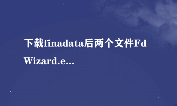 下载finadata后两个文件FdWizard.exe和FINALDATA.exe有什么区别