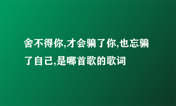 舍不得你,才会骗了你,也忘骗了自己,是哪首歌的歌词