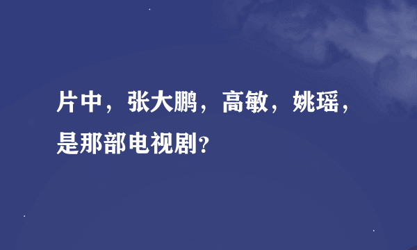 片中，张大鹏，高敏，姚瑶，是那部电视剧？