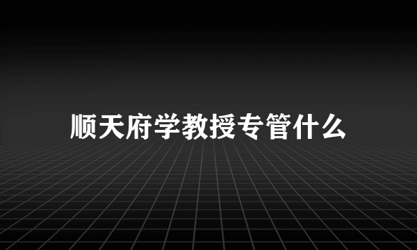 顺天府学教授专管什么