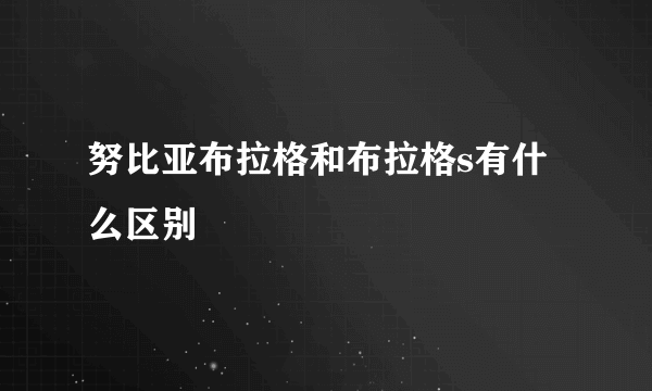 努比亚布拉格和布拉格s有什么区别