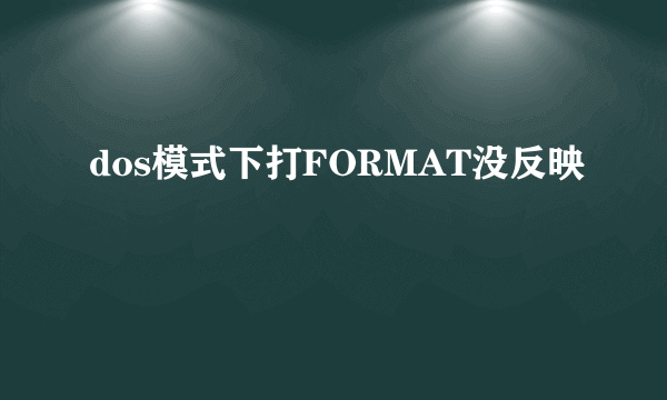 dos模式下打FORMAT没反映