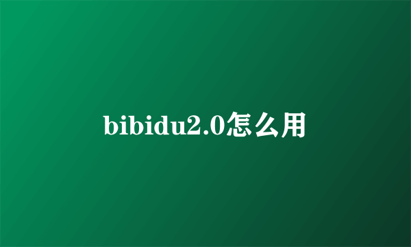 bibidu2.0怎么用