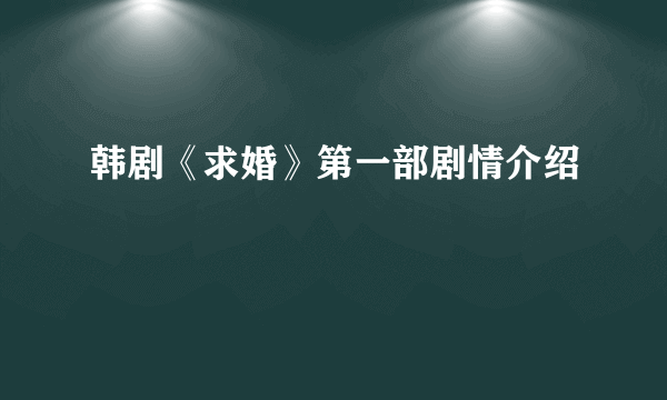 韩剧《求婚》第一部剧情介绍