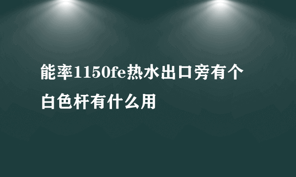 能率1150fe热水出口旁有个白色杆有什么用