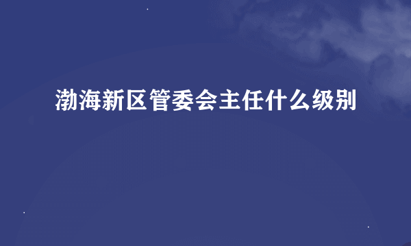 渤海新区管委会主任什么级别