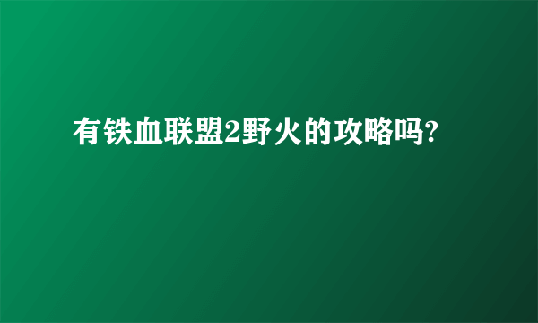 有铁血联盟2野火的攻略吗?