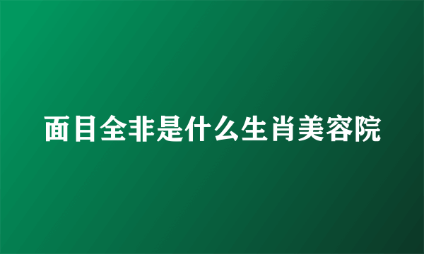 面目全非是什么生肖美容院