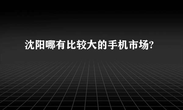 沈阳哪有比较大的手机市场?