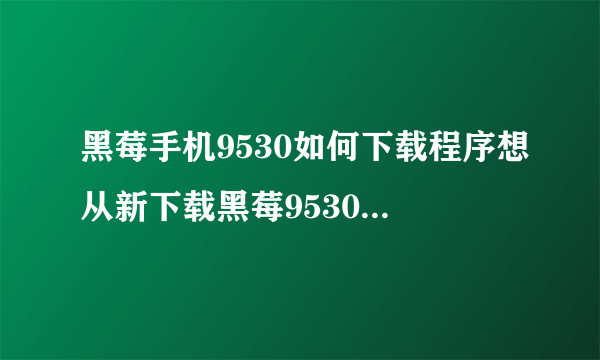 黑莓手机9530如何下载程序想从新下载黑莓9530手机程序