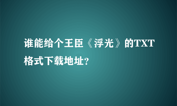 谁能给个王臣《浮光》的TXT格式下载地址？