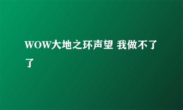 WOW大地之环声望 我做不了了