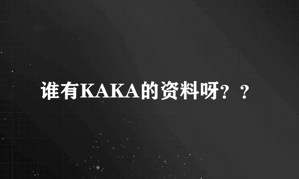 谁有KAKA的资料呀？？