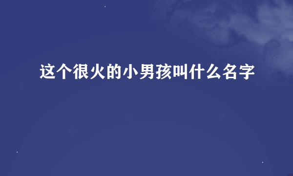 这个很火的小男孩叫什么名字