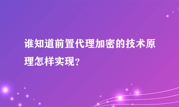 谁知道前置代理加密的技术原理怎样实现？