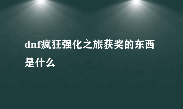 dnf疯狂强化之旅获奖的东西是什么