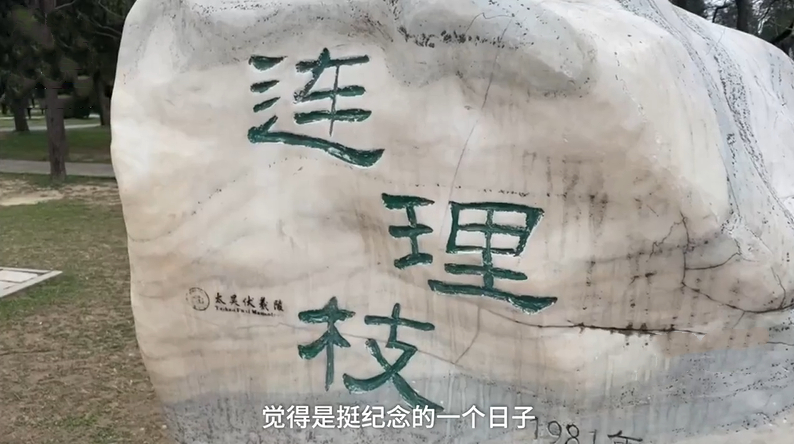 河南一景区现“连理枝”引情侣打卡，这“连理枝”有什么特殊含义？