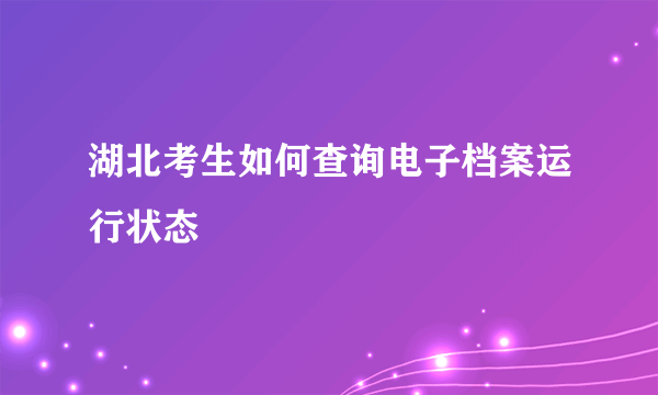 湖北考生如何查询电子档案运行状态