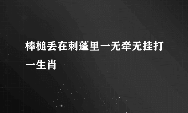 棒槌丢在刺蓬里一无牵无挂打一生肖